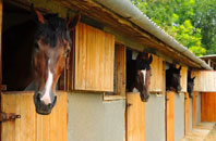 free Dalmore stable construction quotes
